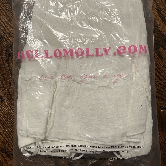 Hello Molly Next Love Mini Dress NWT - Picture 4 of 5